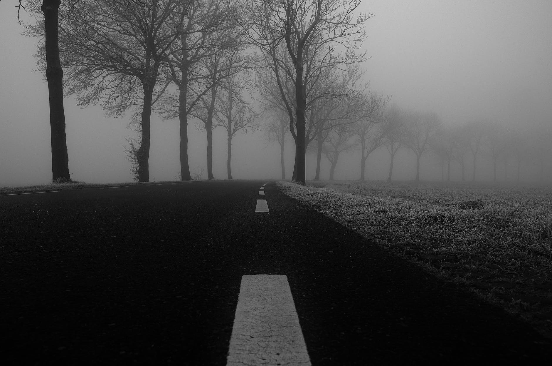 cold snow black and white road